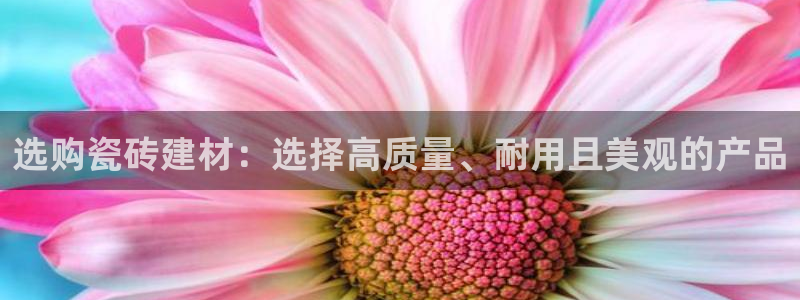 杏鑫娱乐官网首页