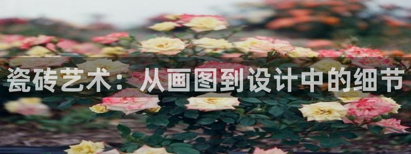 杏鑫平台代理注册流程图