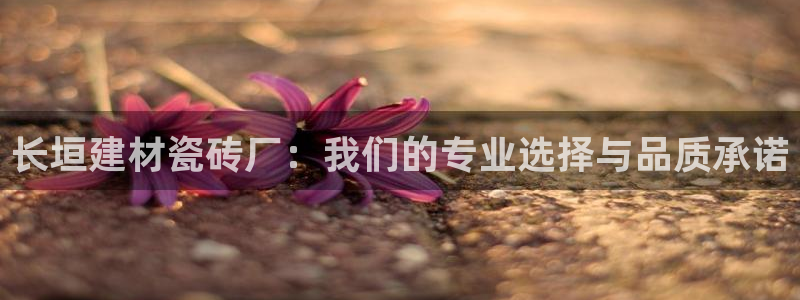 杏鑫官网最新信息