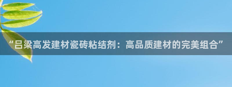 杏鑫官网最新信息新闻
