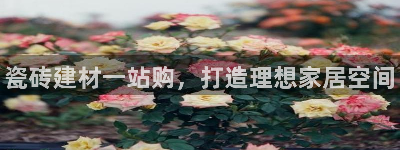 杏鑫官网注册账号密码忘了