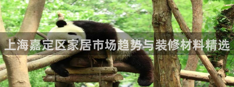 杏鑫娱乐官网登录