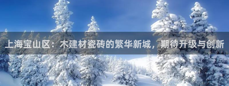 杏鑫代理注册资金多少