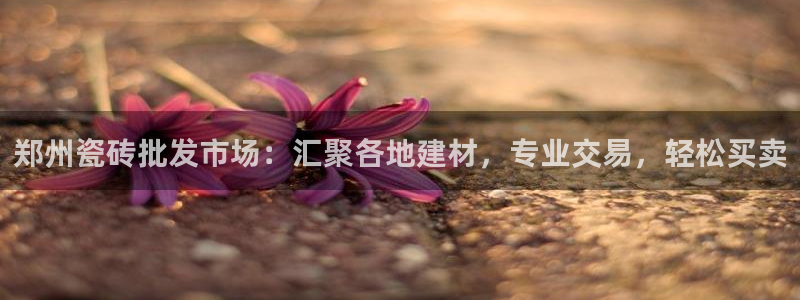 杏鑫平台代理注册多少钱啊