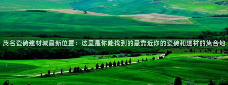 杏鑫注册平台官方网站下载