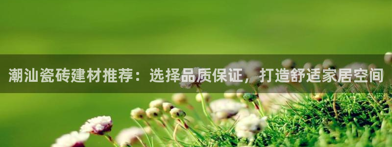 杏鑫平台野马联盟怎么样