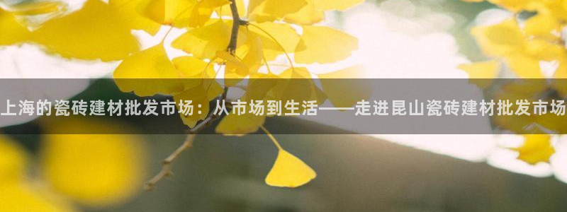 杏鑫平台靠谱吗