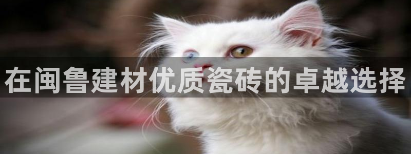 杏鑫登录注册测速