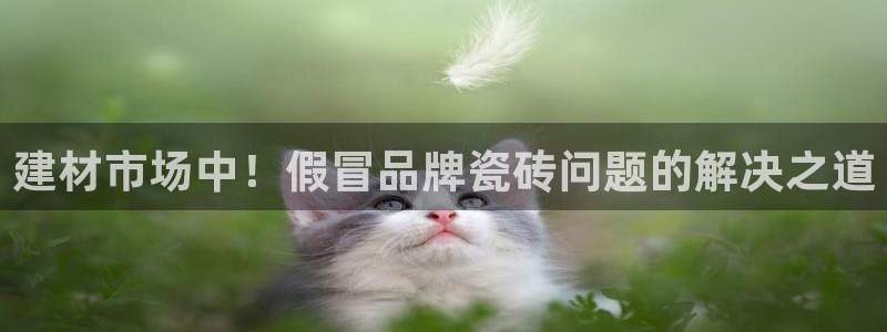 杏鑫平台在线注册怎么注册