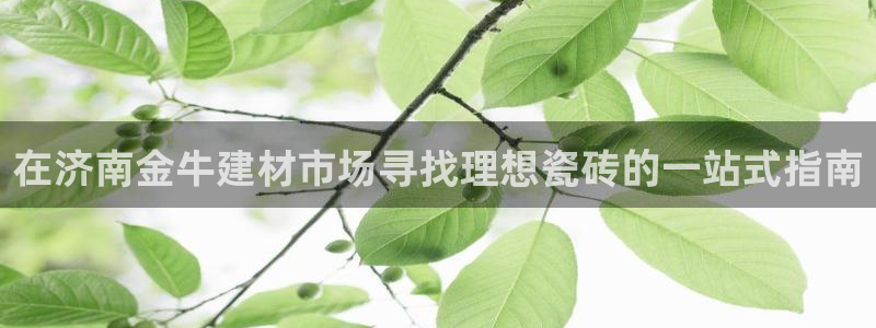 杏鑫官网注册账号是什么样的