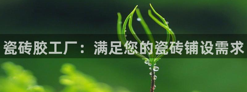 杏鑫娱乐官网登录不了