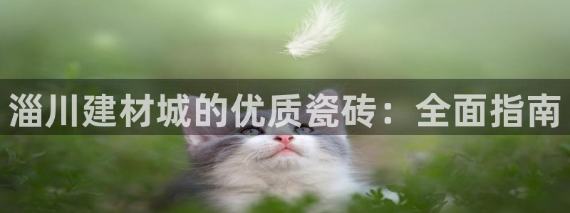 杏鑫平台招商电话是多少